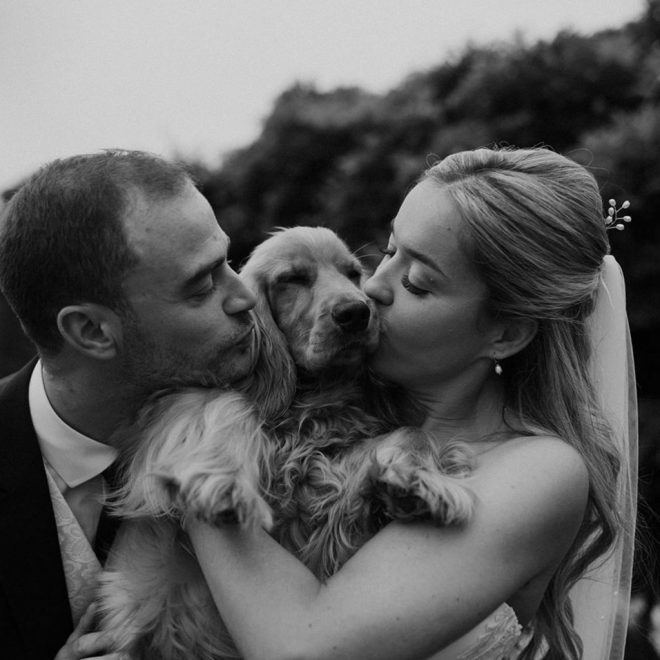 Bride Groom Kissing Dog Wedding Chaperone